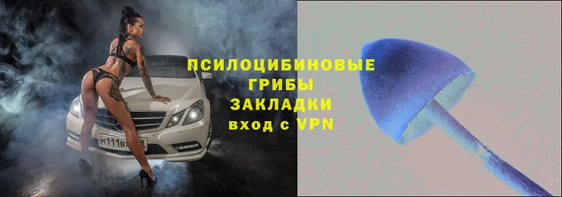 Купить наркотик Минусинск Конопля  АМФ  A-PVP  кракен ONION  Cocaine  Меф мяу мяу 